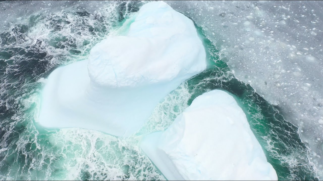 Fogo Island Inn x Room + Wild